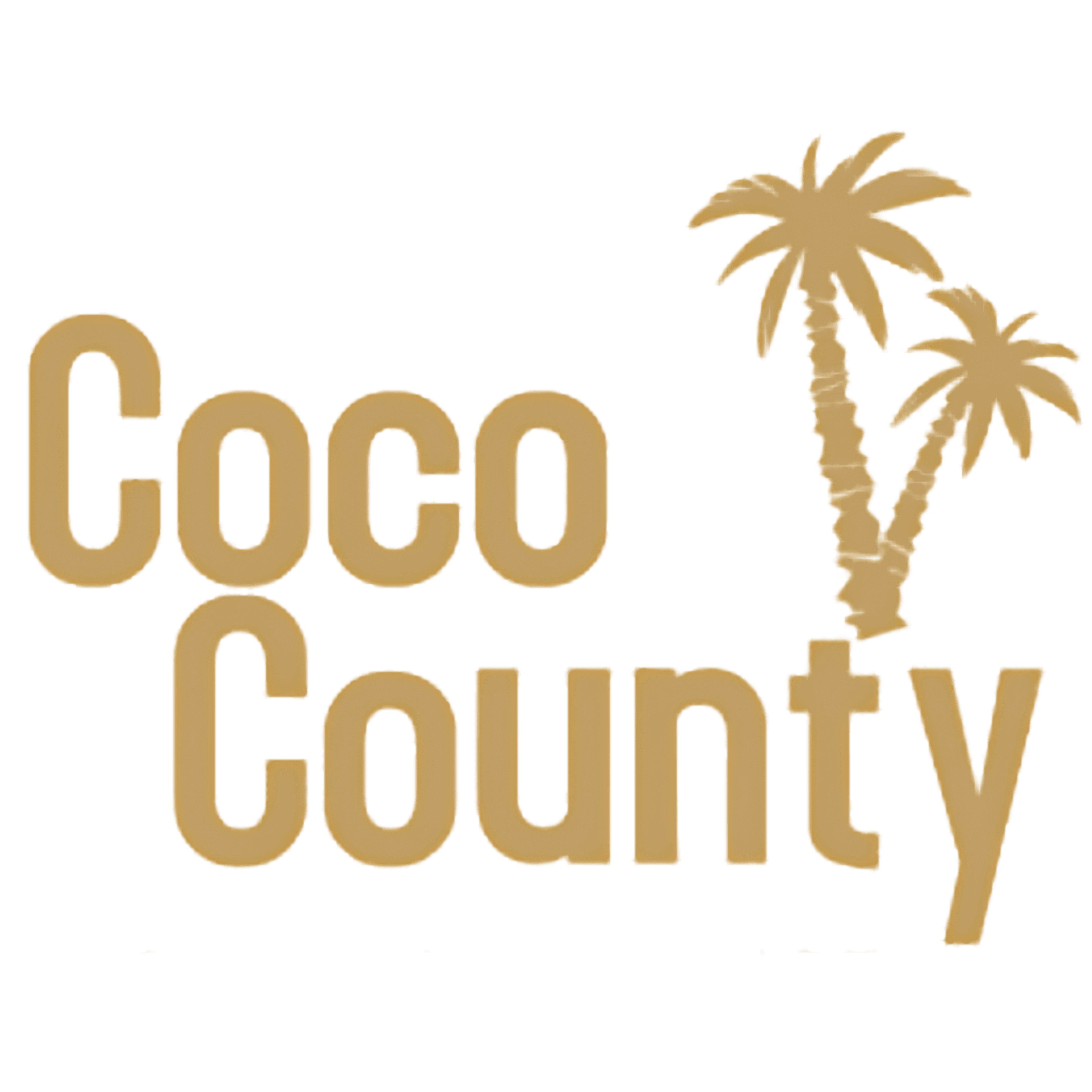 Partner logo 6
